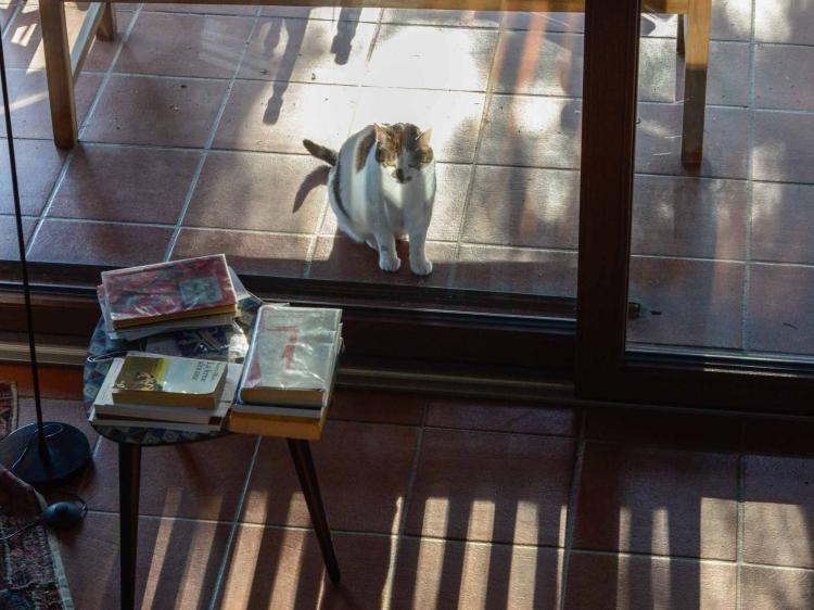 Parete vetrata - Realizzazione TuttoPorte in una casa indipendente a Chieri